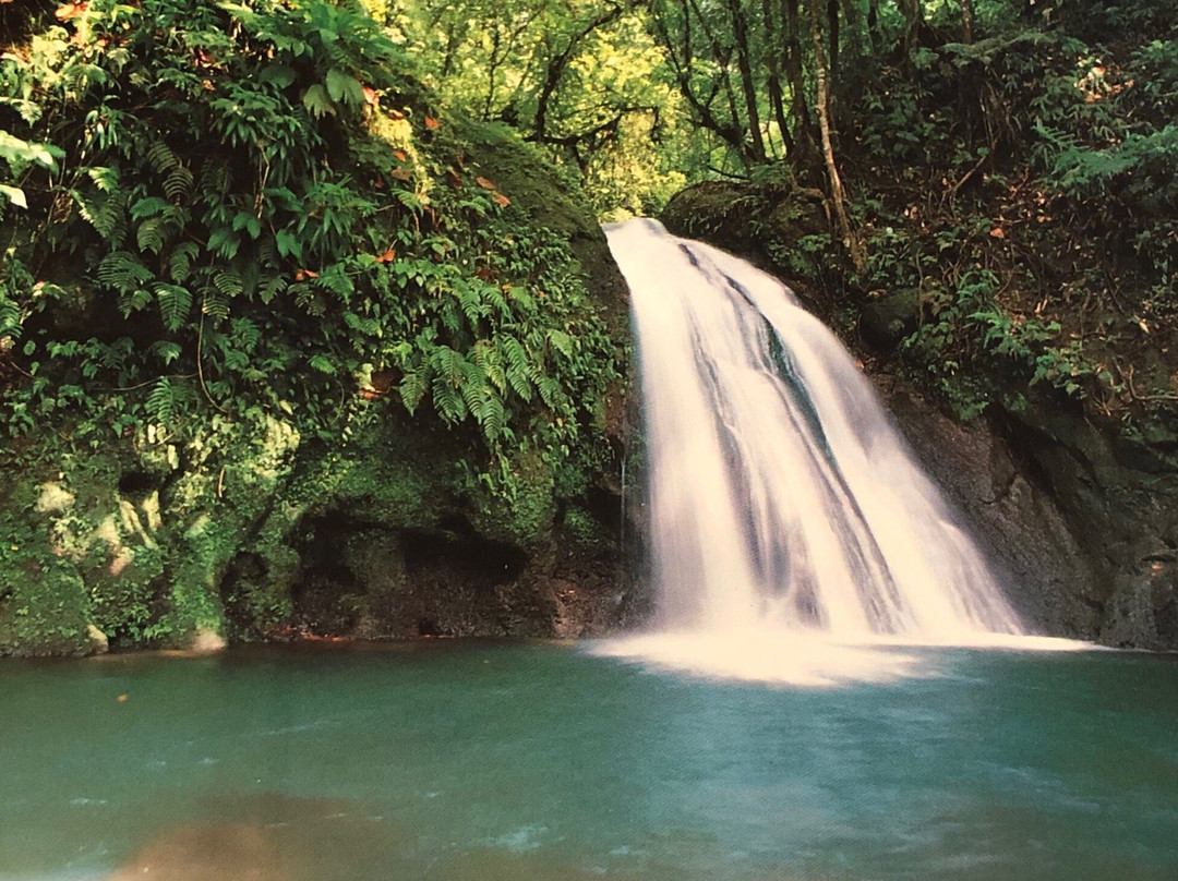 Clarisma Tour-Petit-Canal必去景点