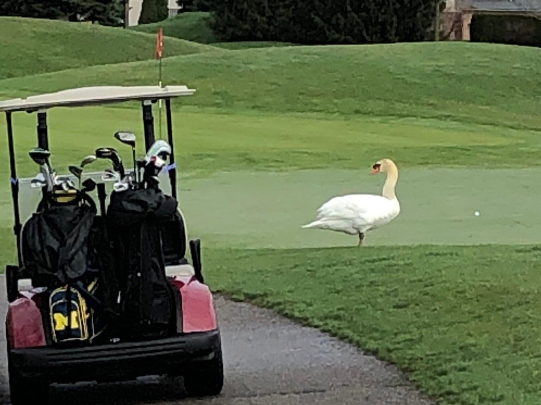 Tanglewood Golf Club-South Lyon必去景点