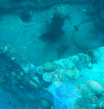 Clear Kayaks Barbados-布里奇顿必去景点