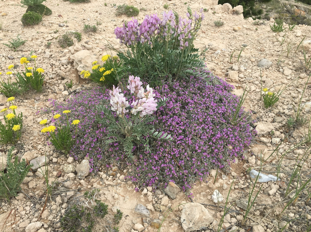 Pawnee National Grasslands-格里利必去景点
