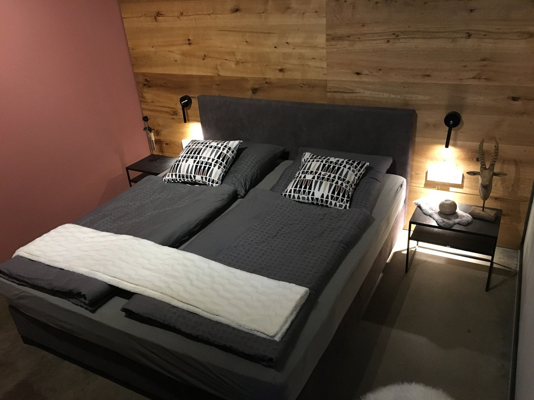 Boutique Hotel Chalet Weinberg主图