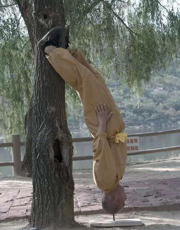 Qishan Shaolin Kung Fu Academy-陇南市必去景点