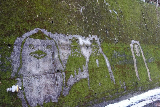 Totoro no Koke Art-东秩父村必去景点