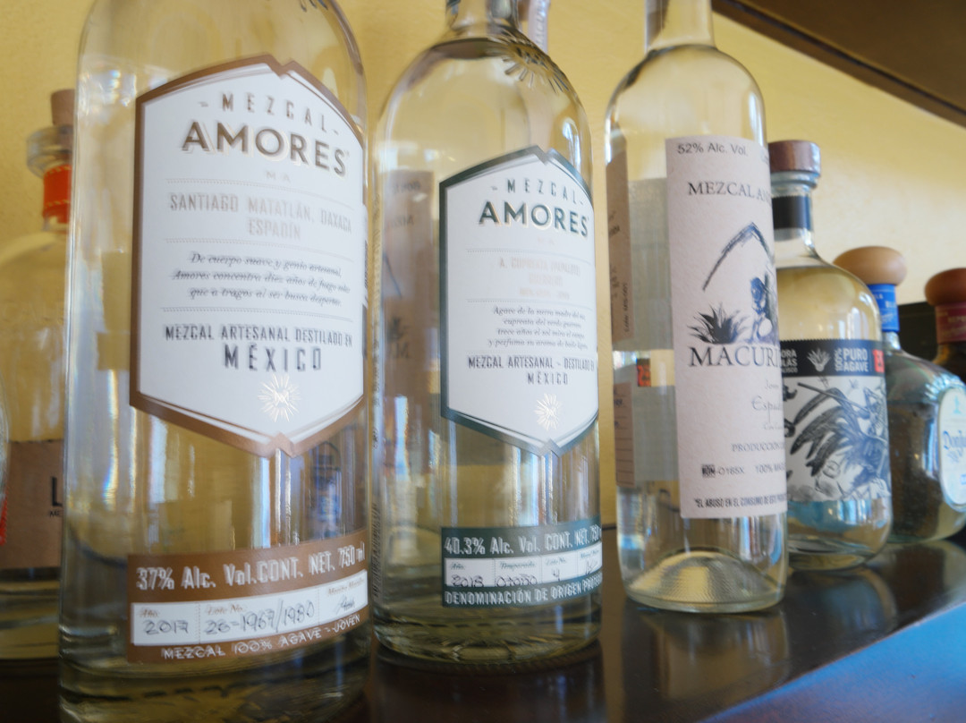 Mexican Flavors Tequila and Mezcal Tasting-梅里达必去景点