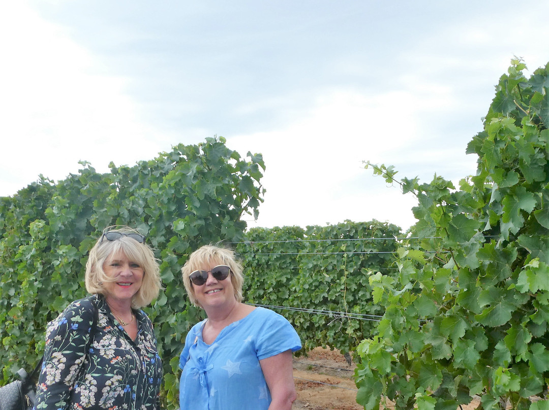 New Zealand I Drive-莫图伊卡必去景点