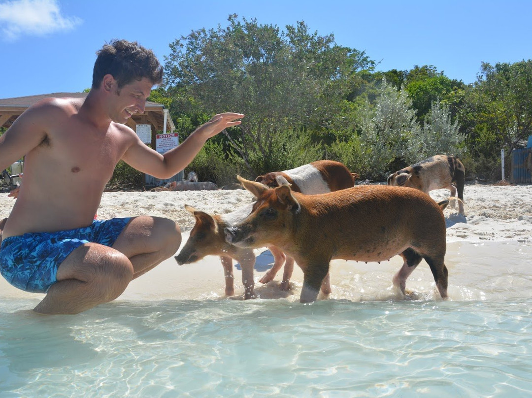 Breezy Hill Exuma Bahamas主图