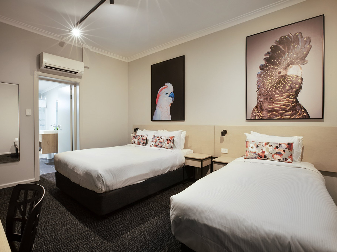 Nightcap at The Charles Hotel主图