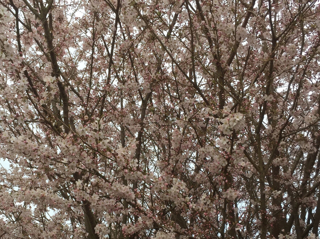 Moore Nature Reserve-沃灵顿必去景点