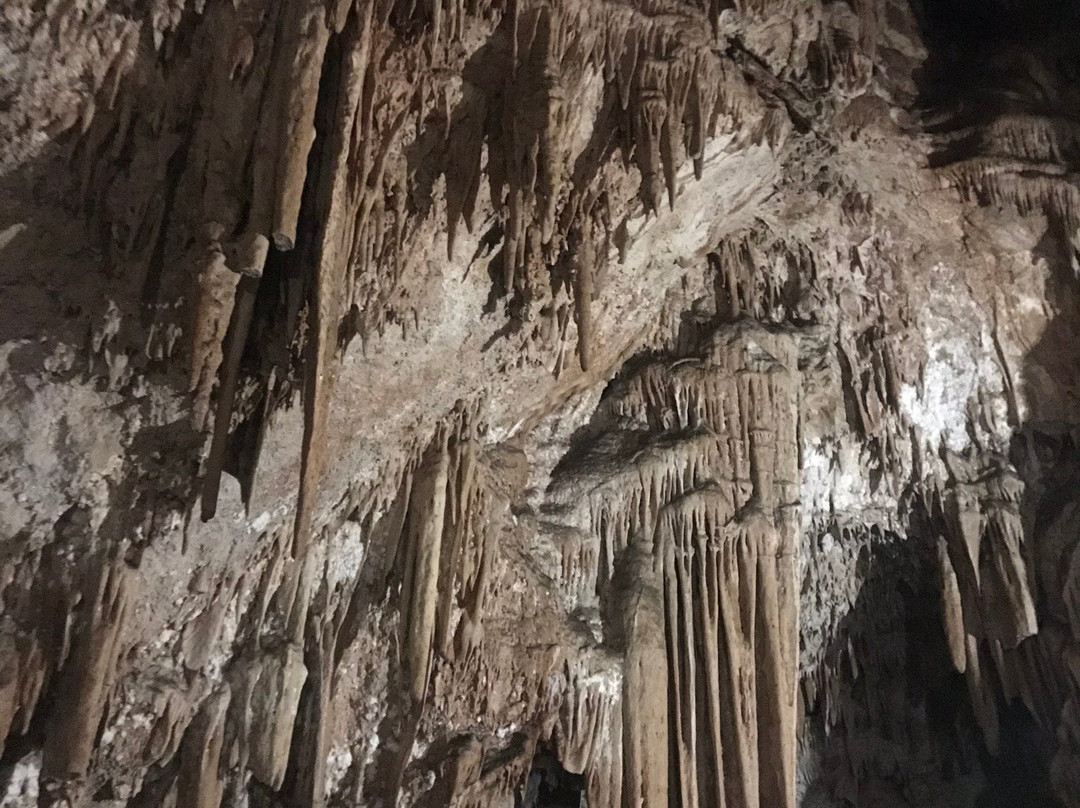 Grutas de San Gabriel-Colima必去景点