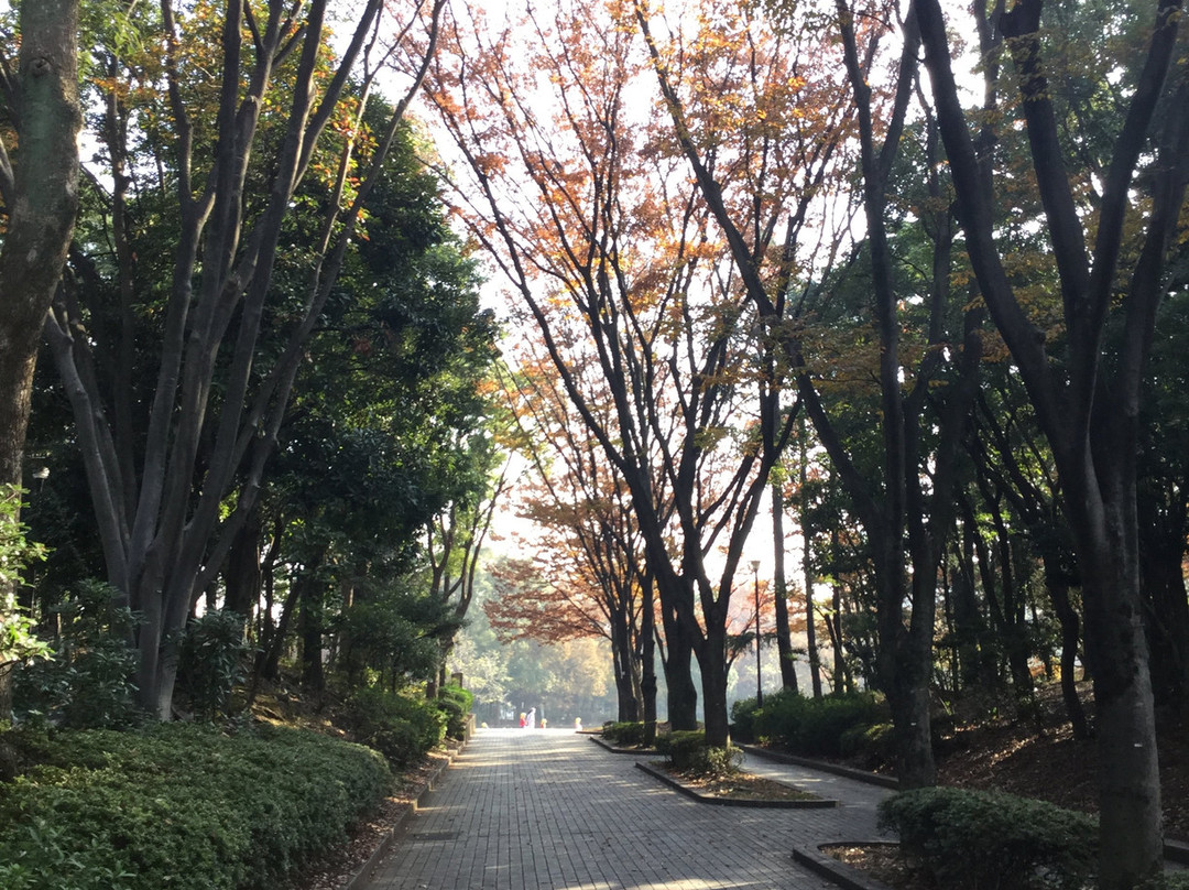 Heiwa no Mori Park-大田区必去景点