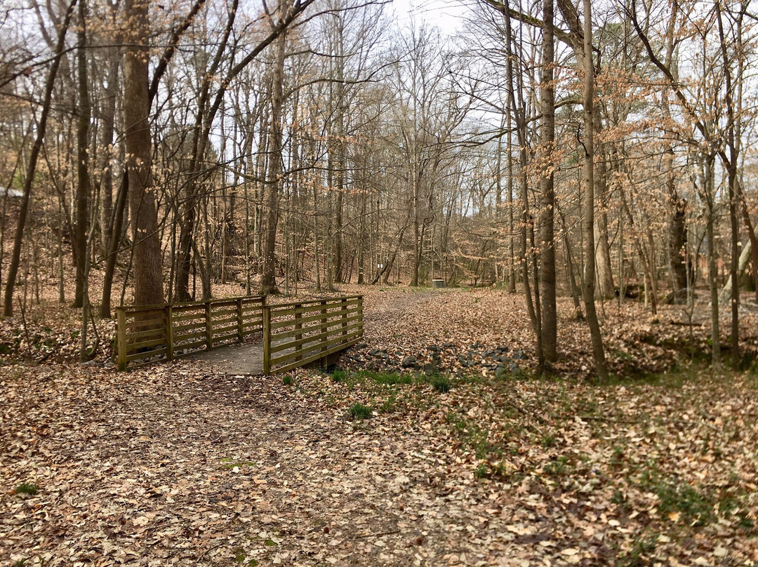 W.P. Jones Park-杜鲁斯必去景点