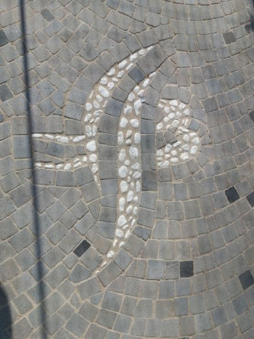 帕腾诺佩民宿主图