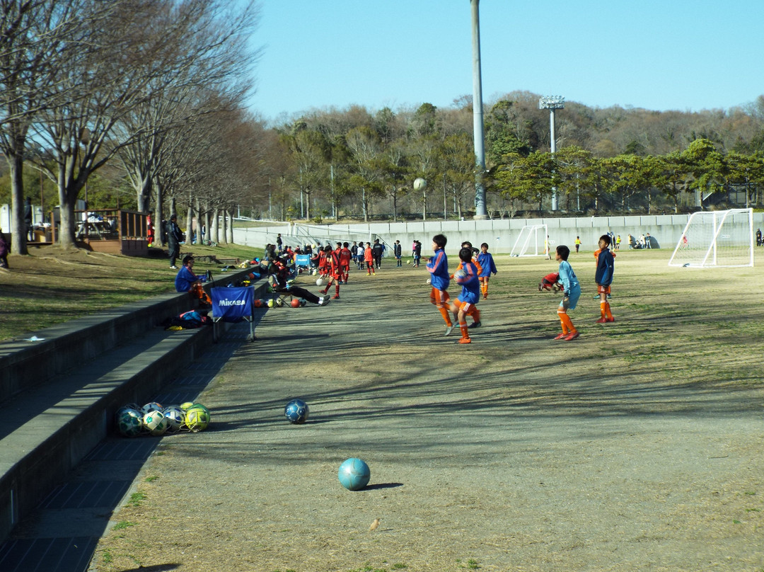 Oiso Sports Park景点图片