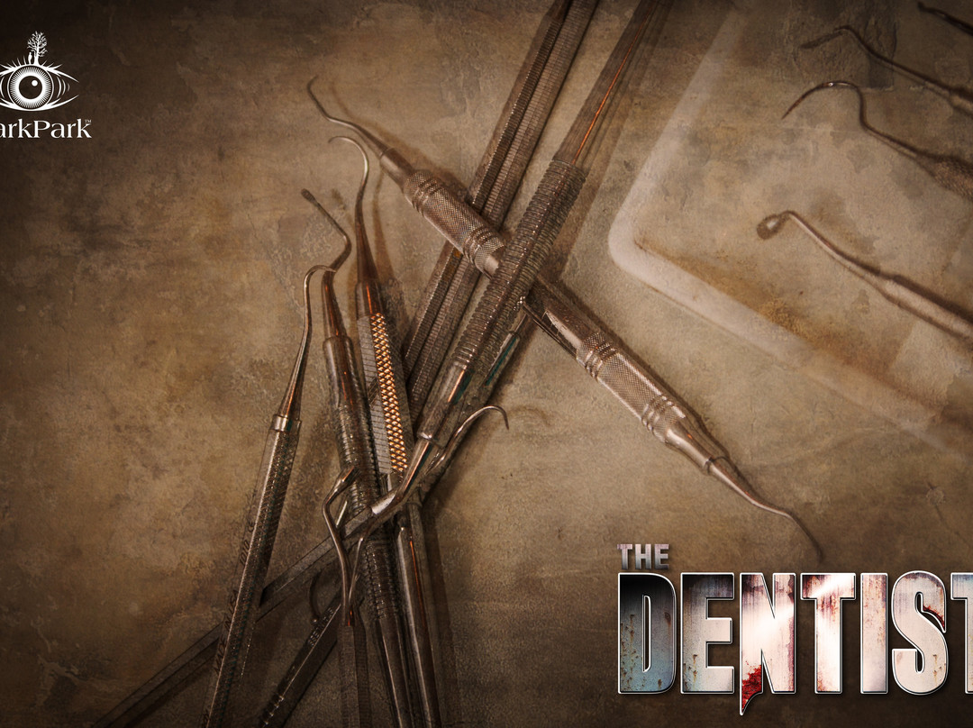 DarkPark-代尔夫特必去景点