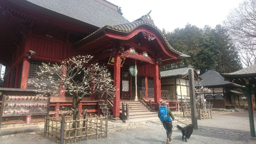 Hiyoshi Shrine景点图片