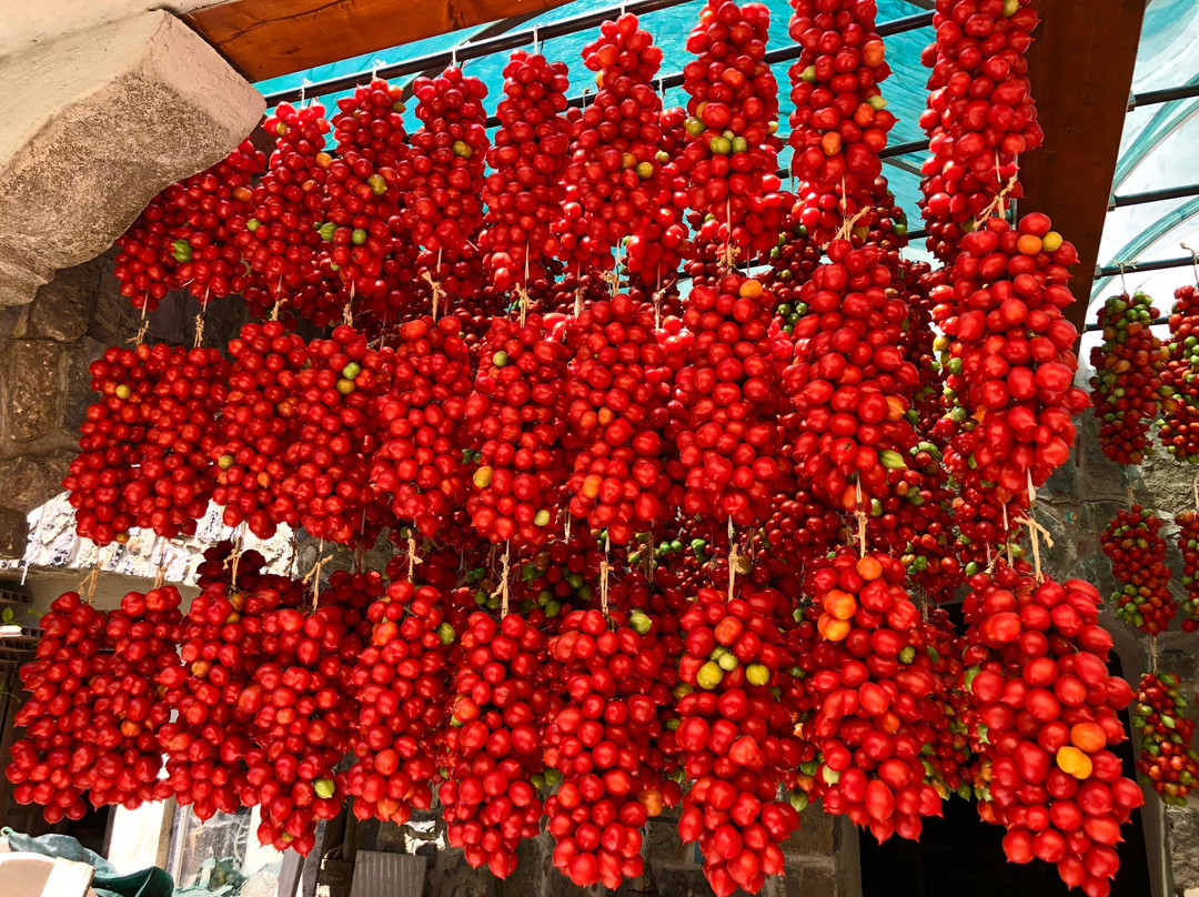 La Vigna degli dei-阿杰罗拉必去景点