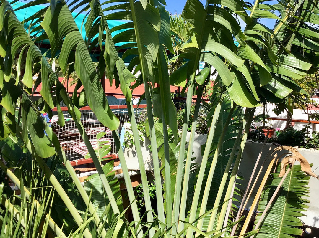 Hotel Las Palmas主图