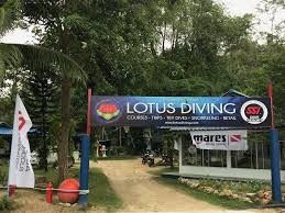 Lotus Diving景点图片