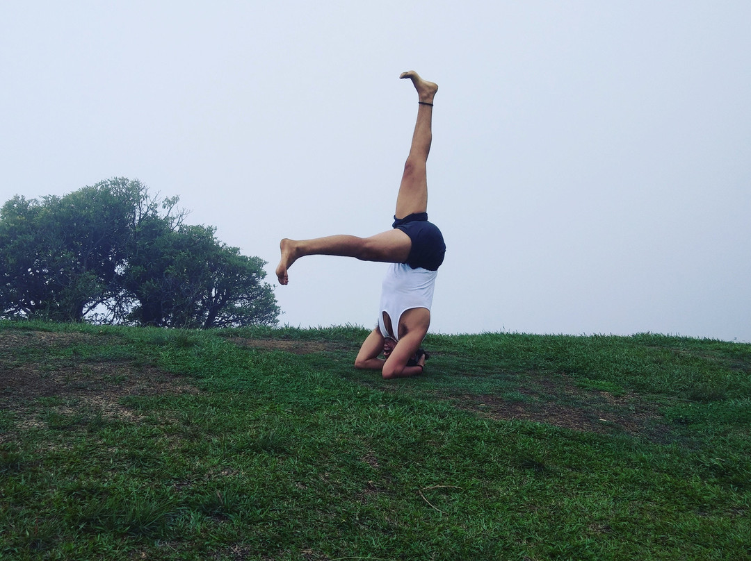 Yoga in Rishikesh景点图片