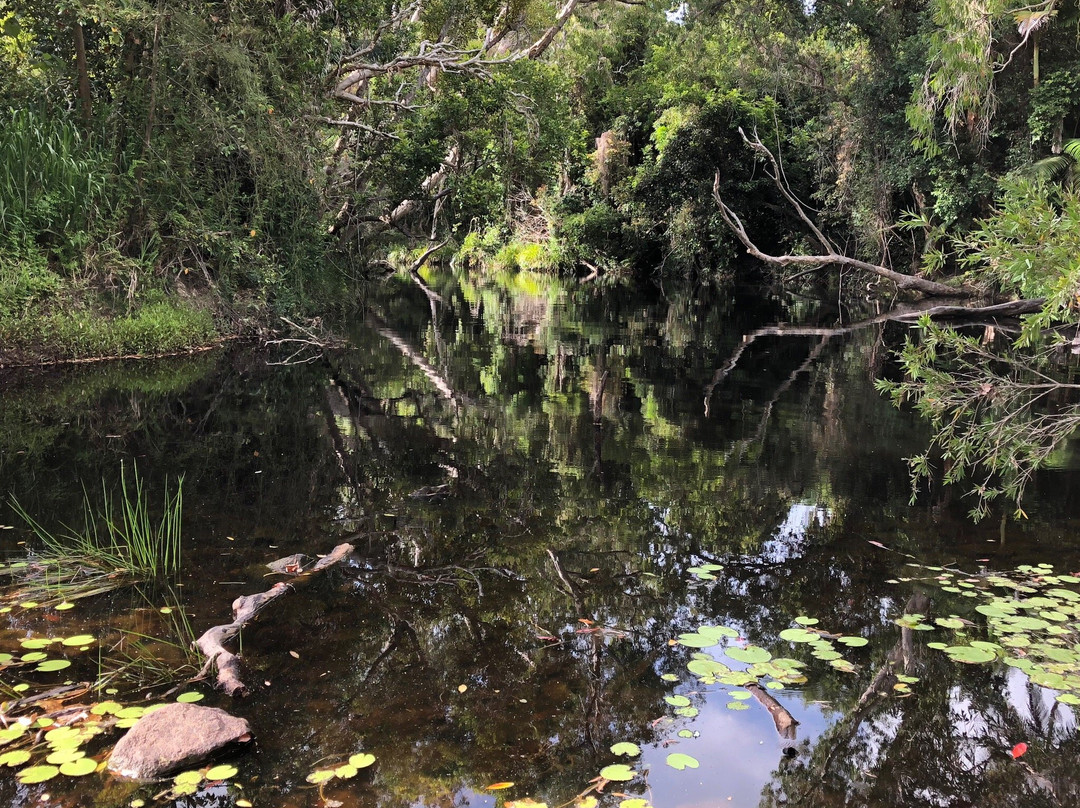 Waterpark Creek-Byfield必去景点