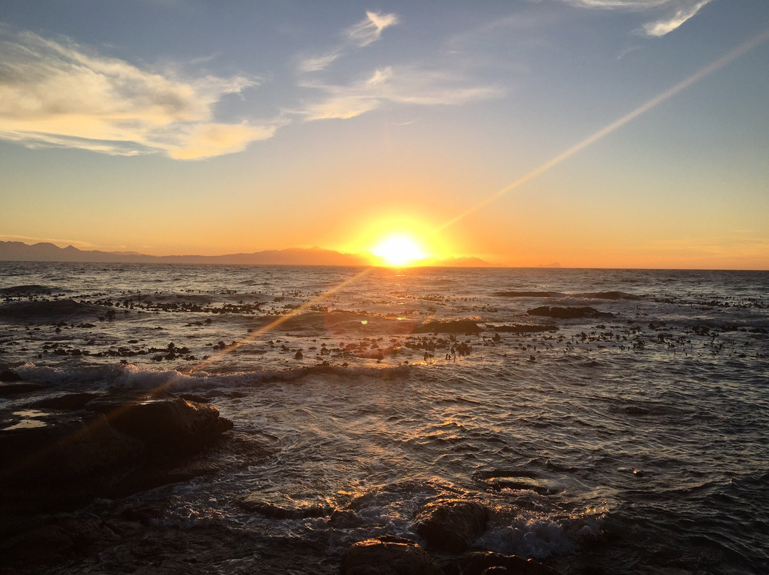 Muizenberg旅游景点-Muizenberg Catwalk