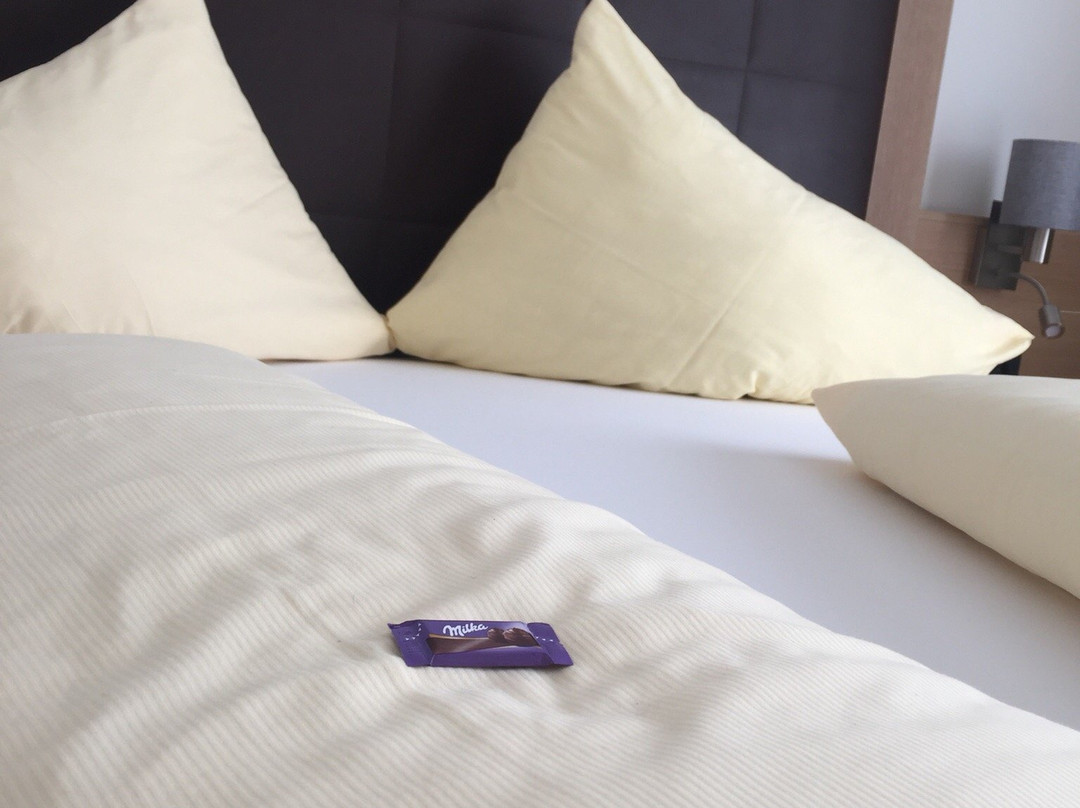 加尼索莱尔酒店主图