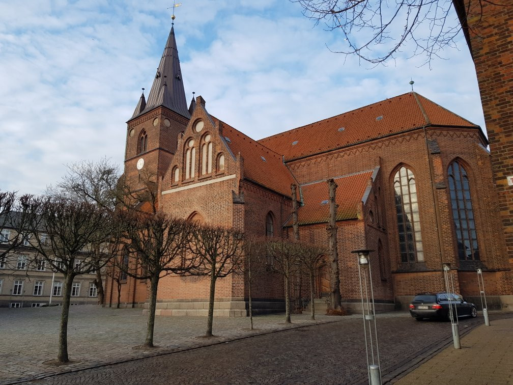 Sankt Nicolai Kirke-科灵必去景点