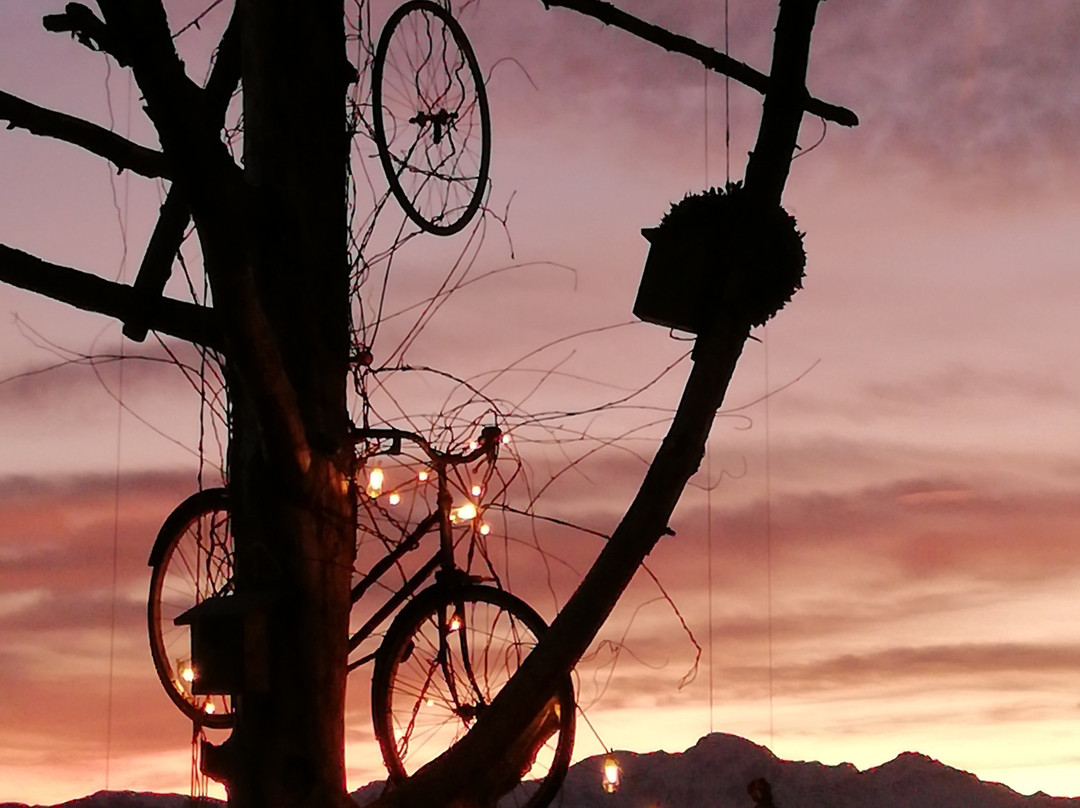 B&B L'Albero Di Antonia主图