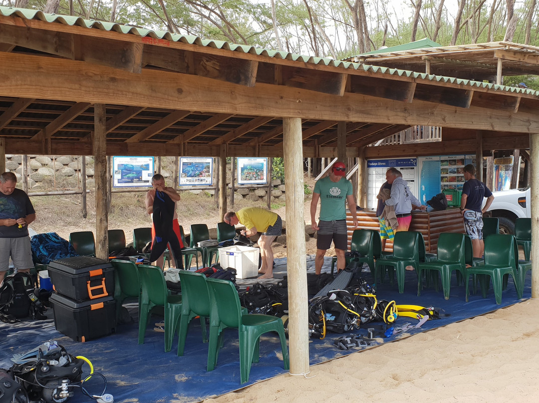 Amoray Diving-索德瓦纳必去景点