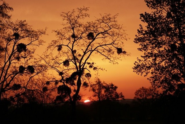 Lavelanet-de-Comminges旅游攻略图片