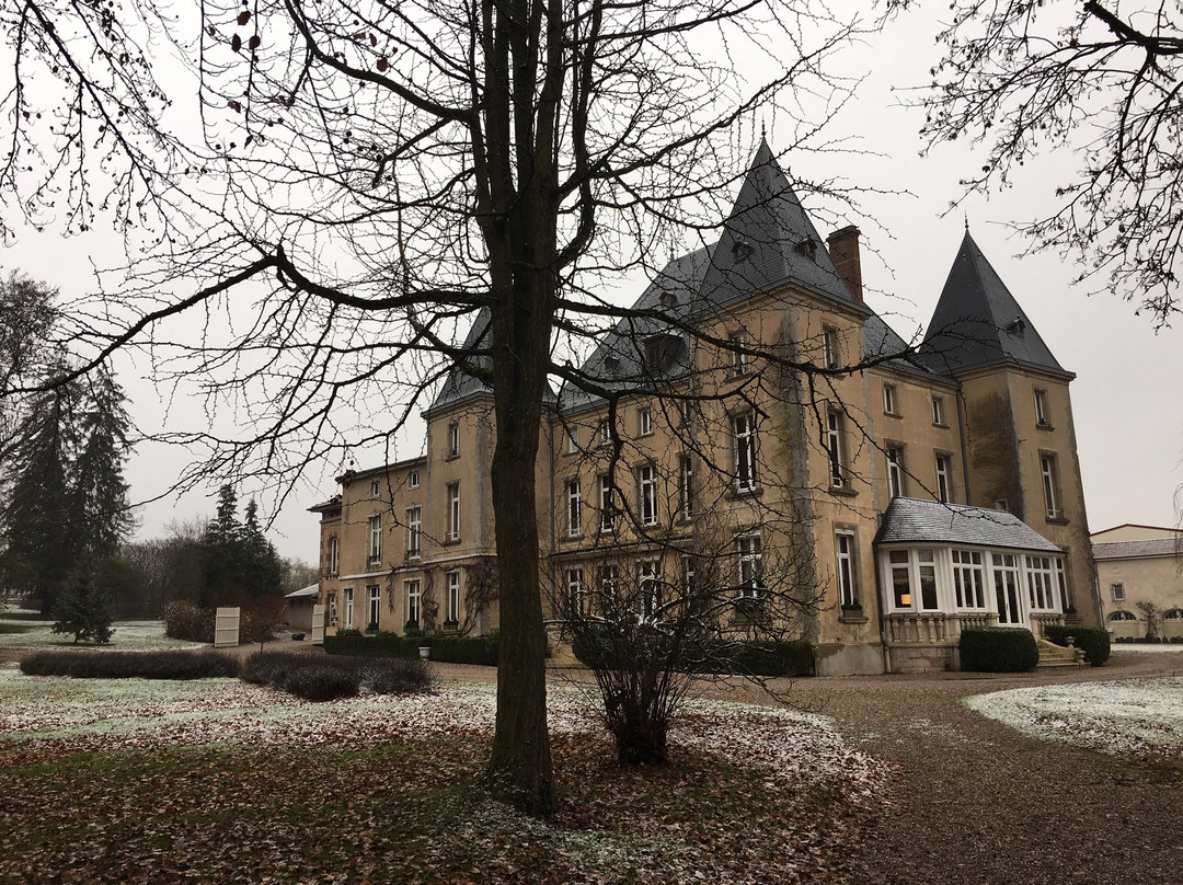 Château d'Adomenil主图
