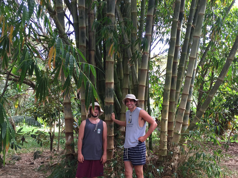 Twin Falls Maui-毛伊岛必去景点