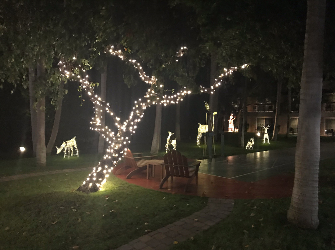 纽波特比奇凯悦酒店主图