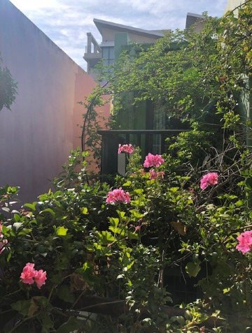 玫瑰民宿-酒店景观