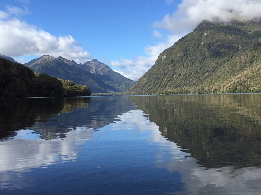 Fiordland Tours景点图片