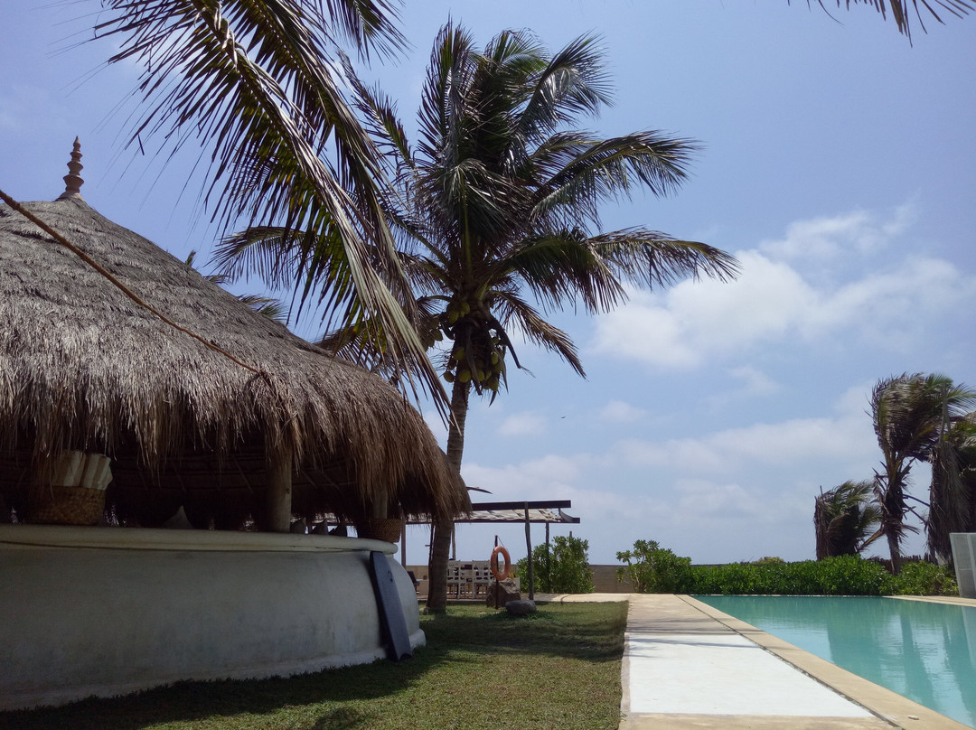 海豚海滩度假村主图