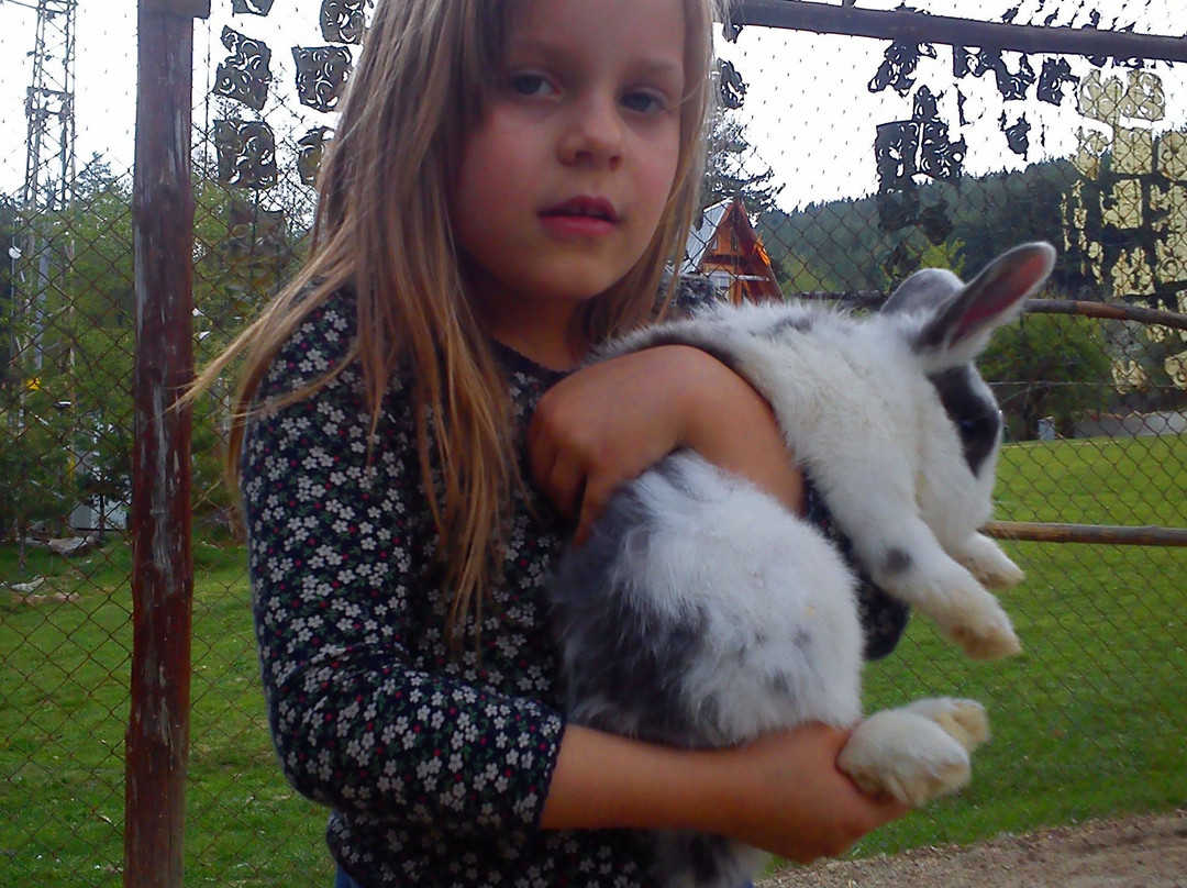 Rusaliite Adventure House主图