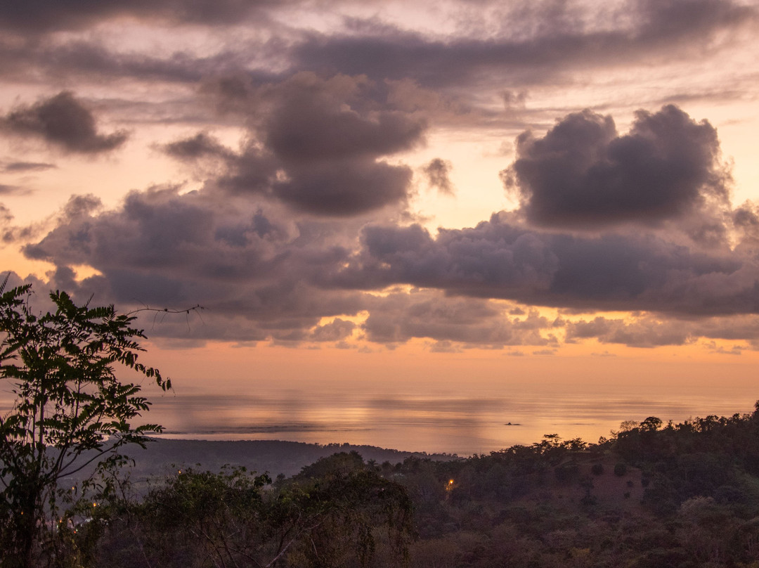 Golden Pineapple Villas主图