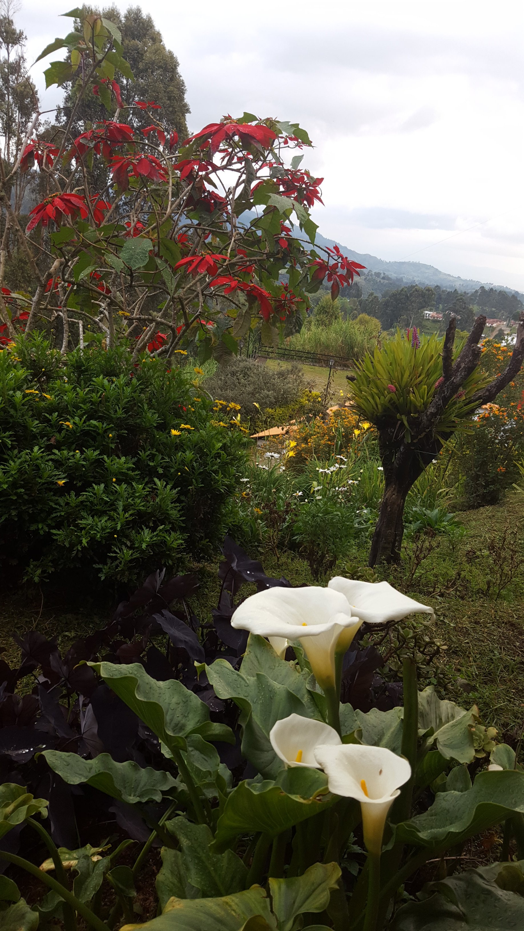 Hostal Finca Cardonales-浴室