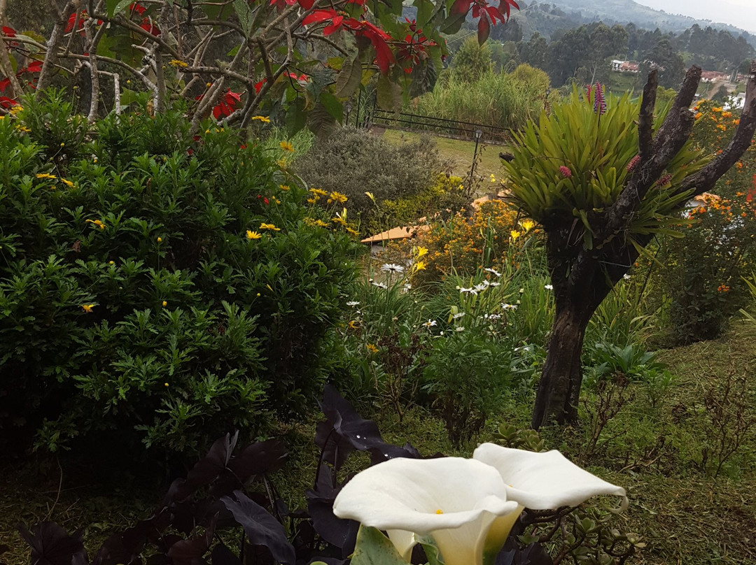 Hostal Finca Cardonales主图