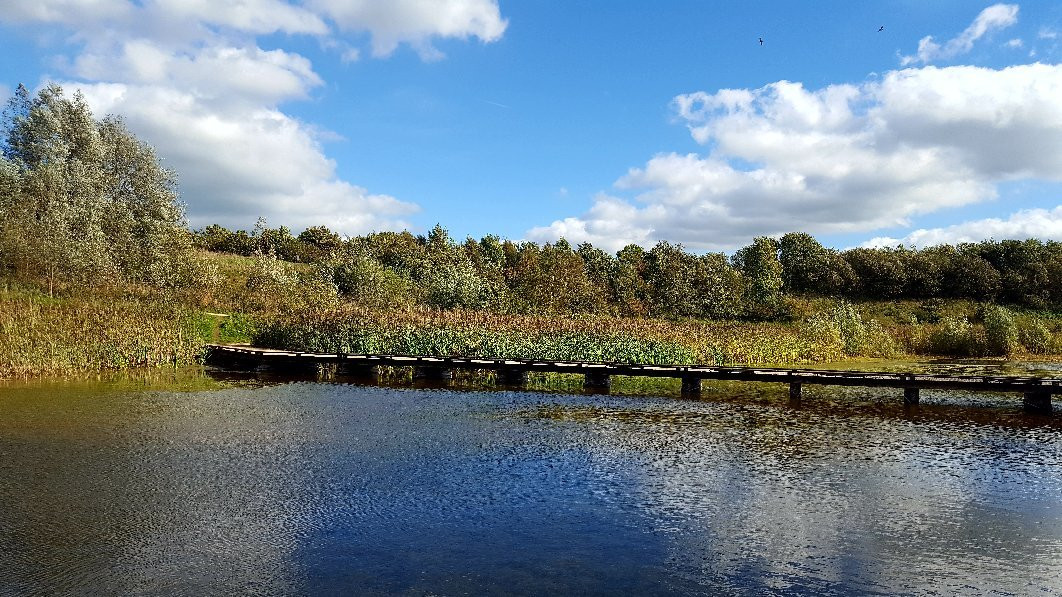 Brockholes Nature Reserve景点图片