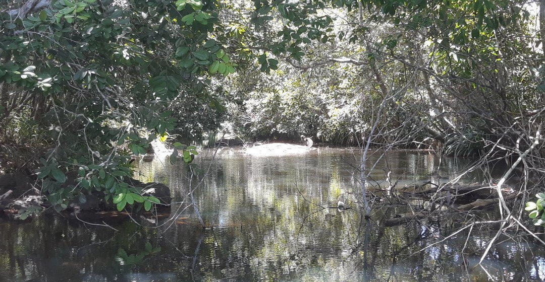 Cachoeira dos Índios景点图片