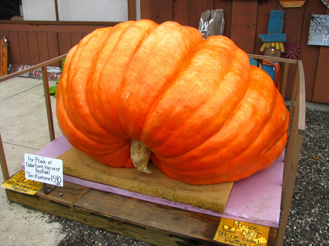 Tom Dooleys Apple Orchard-Waupun必去景点