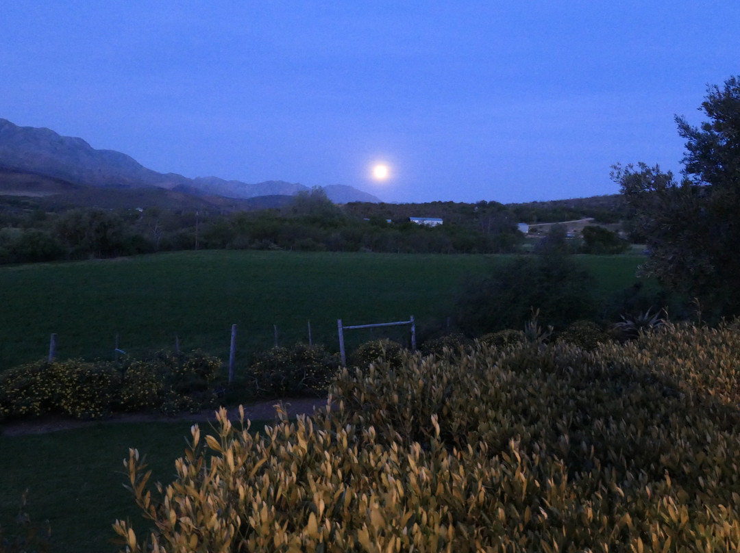 Swartberg Country Manor主图