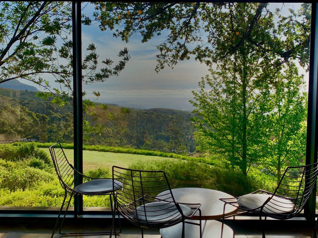 Bosch Travel and Tours-开普敦中心区必去景点