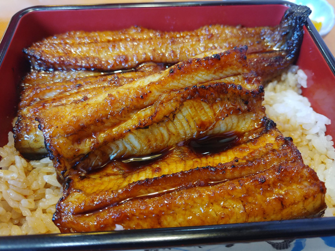 うなぎのうな藤