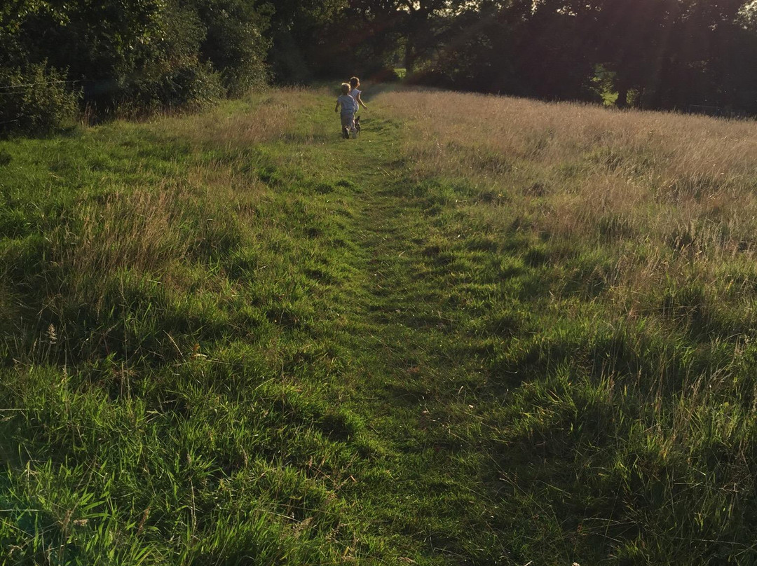 Chestnut Meadow Country Park