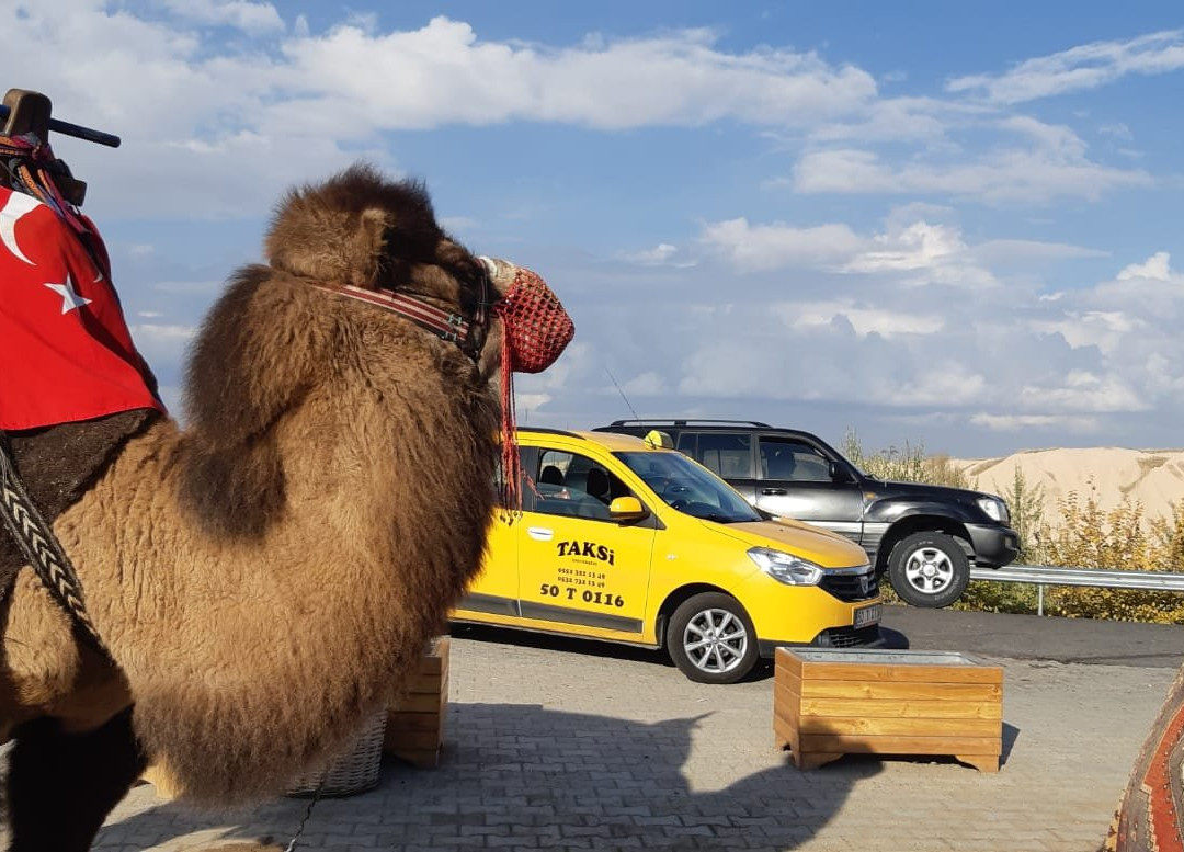 Universite Taxi Nevsehir景点图片