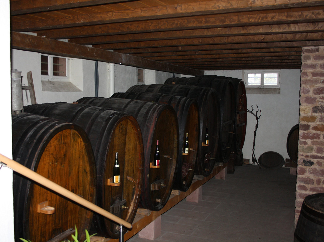 Domaine David Ermel & Fils景点图片