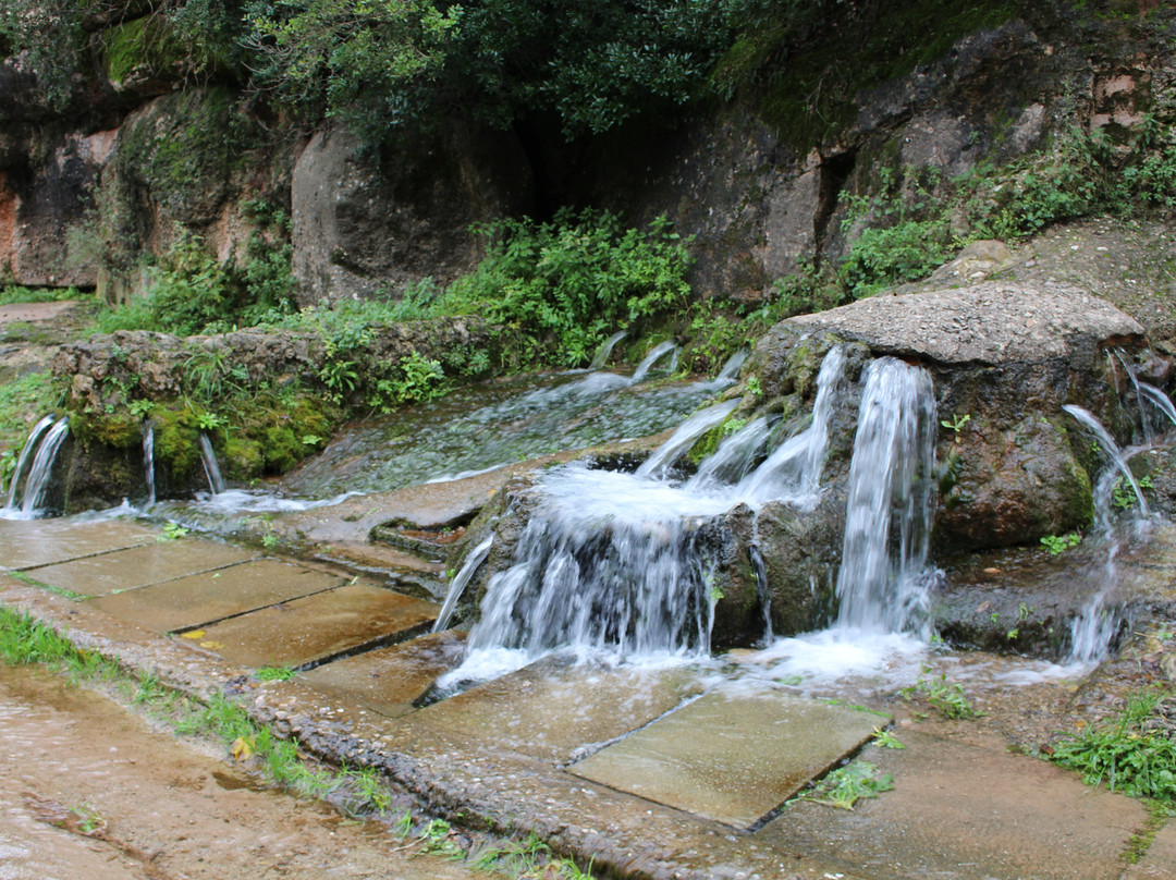 Les Fonts de Rellinars景点图片